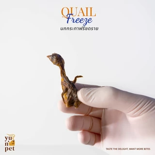 นกกระทาฟรีซดราย ขนมแมว ขนมหมา โปรตีนสูง ไขมันต่ำ YuNi Pet