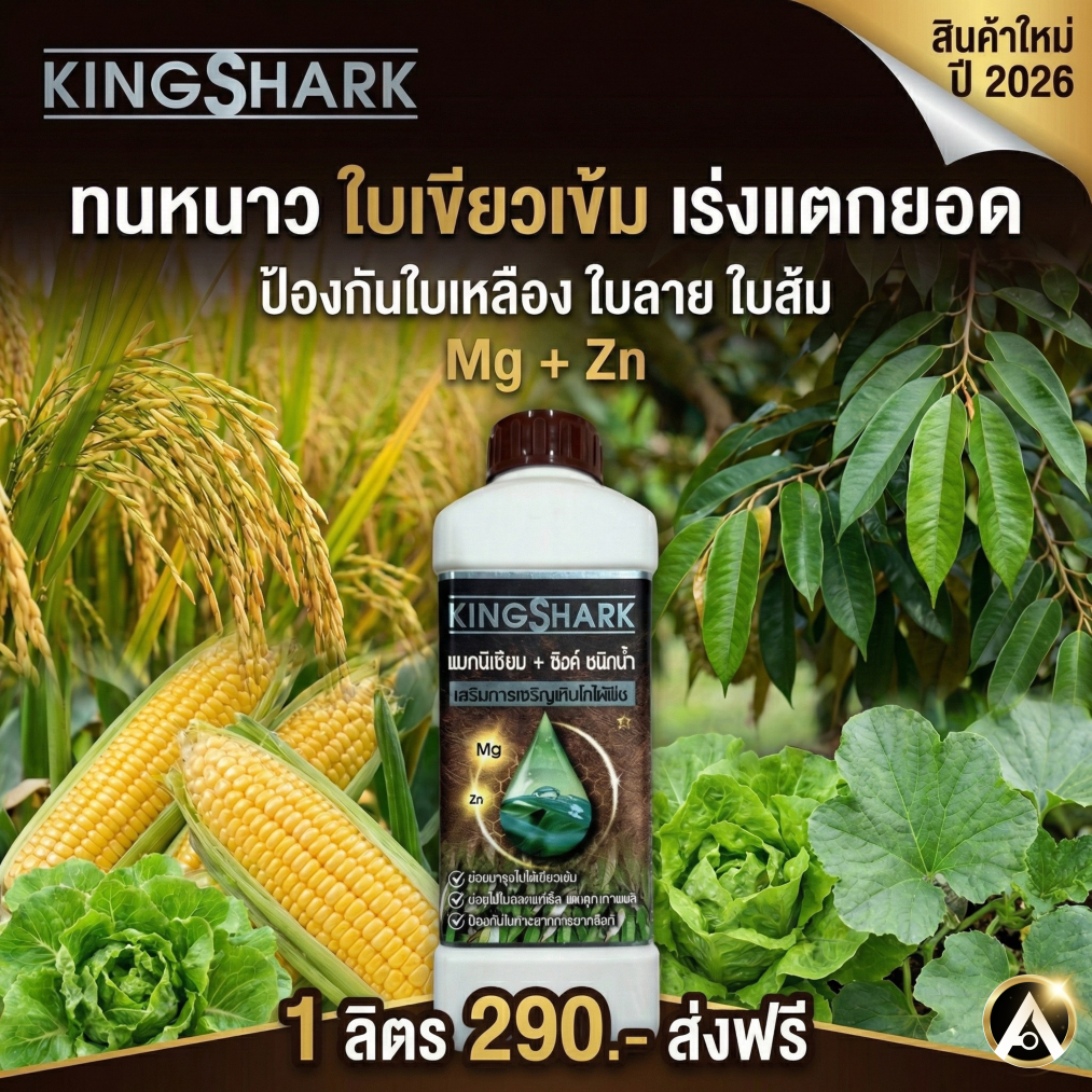 KingShark แมกนีเซียม + ซิงค์ ( สังกะสี ) ชนิดน้ำ เสริมการเจริญเติบโตให้พืช ( KS1 )