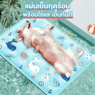 NEW PET COOL MAT ที่นอนเจลเย็น สัตว์เลี้ยง แมว สุนัข แผ่นเจลเย็น กันร้อน ระบายอากาศได้ คลายร้อนในฤดูร้อน