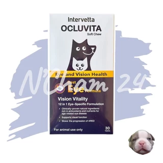 Ocluvita อาหารเสริมเพื่อบำรุงสายตาและดวงตา สำหรับสุนัขและแมว