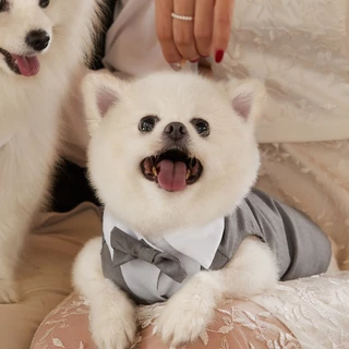 สูทหมา สูทแมว Dog Tuxedo เสื้อกั๊ก แขนกุด ติดโบว์ ผ้าหรู ลุคคุณชาย ชุดออกงาน งานแต่ง วันเกิด หมาเล็ก แมวใส่ได้