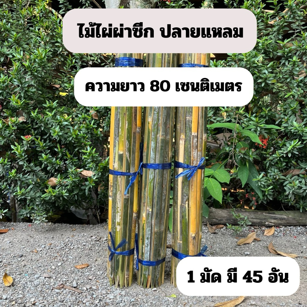 ไม้ไผ่ผ่าซีก ไม้ไผ่ดามต้นไม้ ปลายแหลม ความยาว 80 เซนติเมตร (1 มัด มี 45 อัน)