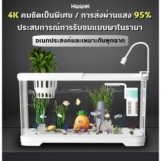 ตู้ปลาตั้งโต๊ะ ตู้ปลาเล็ก ตู้ปลา ตู้ปลาขนาดเล็ก ตู้ปลา 12 นิ้ว พร้อมไฟและปั๊มน้ำ การออกแบบที่มีฝาปิด ปลาสวยงาม