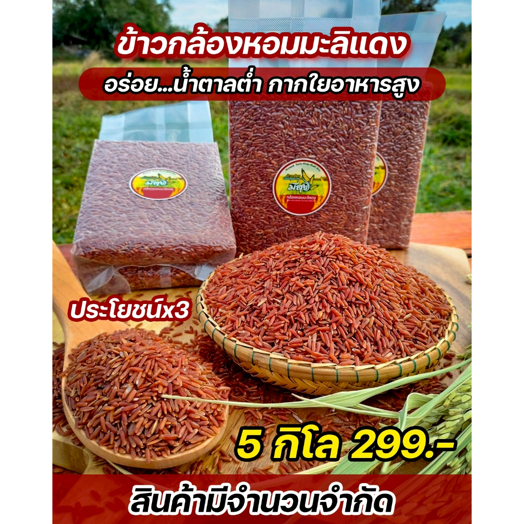 ข้าวกล้องหอมมะลิแดง เกษตรอินทรีย์ปลอดสาร 5 กิโล(ซีลสูญญากาศ)