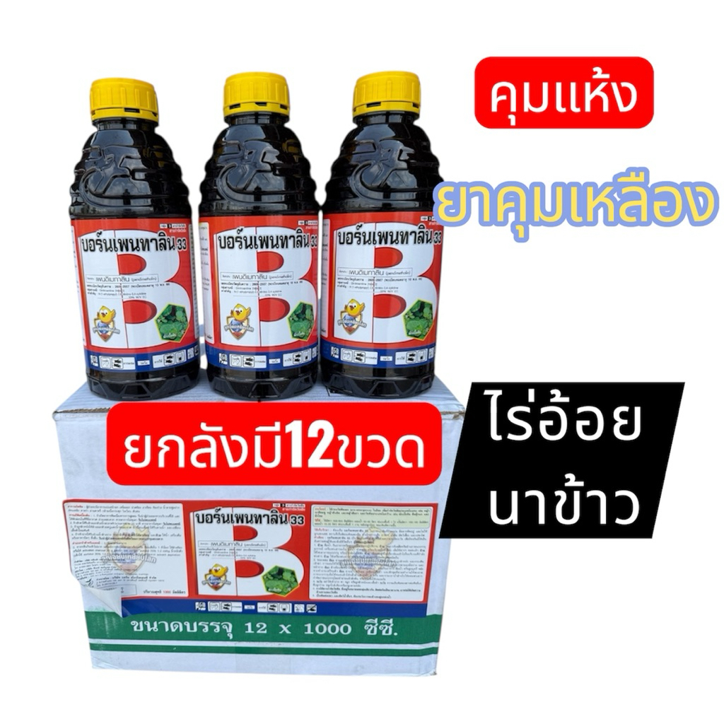 บอร์นเพนทาลิน 33  (ชื่อสามัญ เพนดิเมทาลิน 33% EC  คุมวัชพืช ไร่อ้อย นาข้าว คุมแห้ง(ยกลังมี12ขวด)
