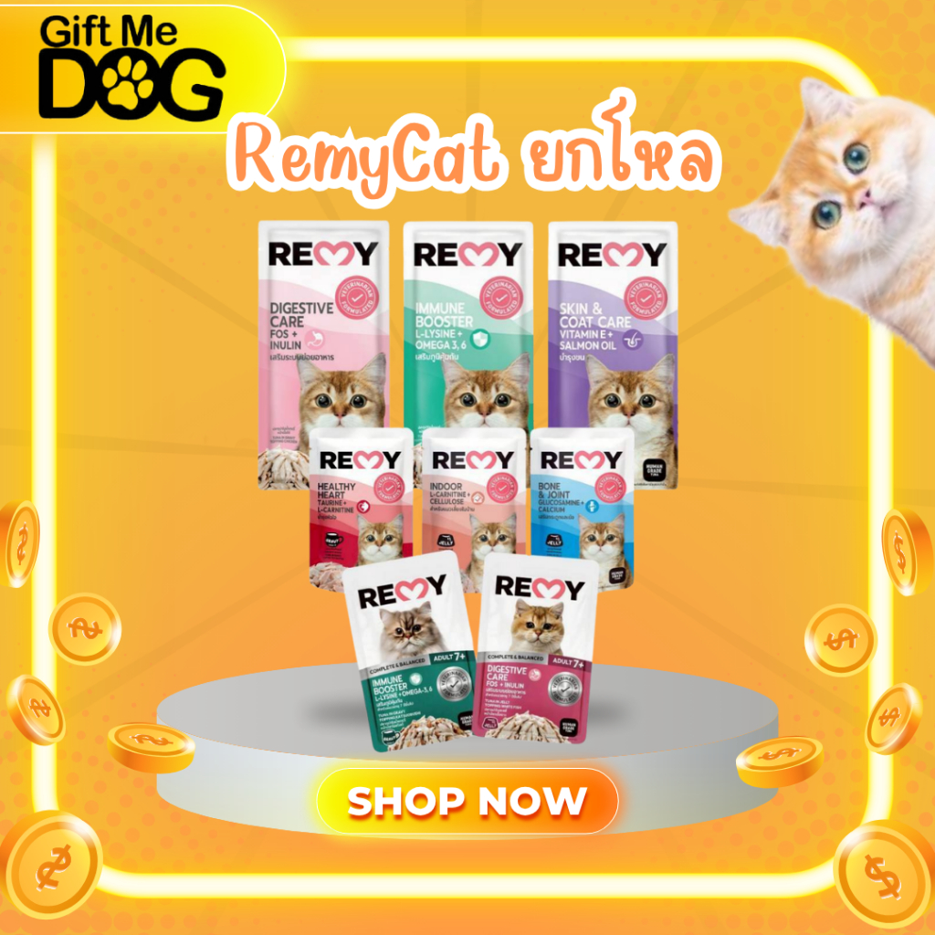 (โหล12ซอง)REMY Cat เรมี่ อาหารเปียกแมว ขนาด70g ขายแบบโหล12ซอง