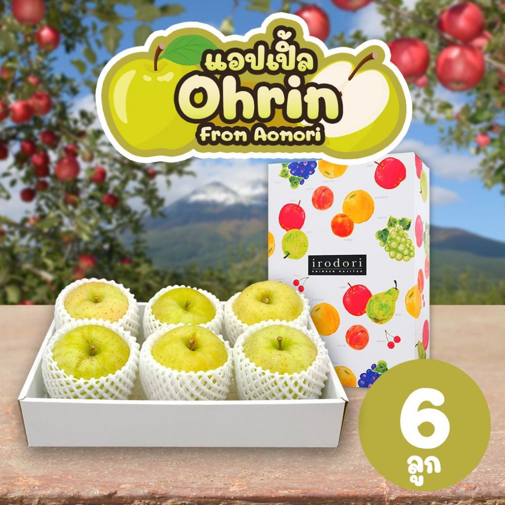 [Gift Box 6 ลูก] แอปเปิลโอริน จากเมืองอาโอโมริ - Ohrin Apple from Aomori