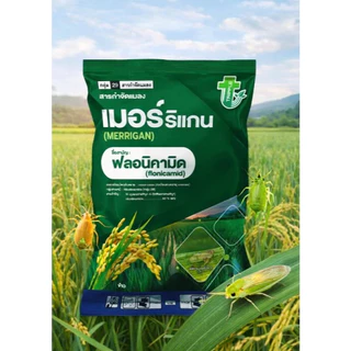 เมอร์ริแกน 250 กรัม ฟลอนิคามิด 50%WG ซองใหญ่ คุ้มราคา เพลี้ยจั๊กจั่น เพลี้ยกระโดด เพลี้ยดื้อยา