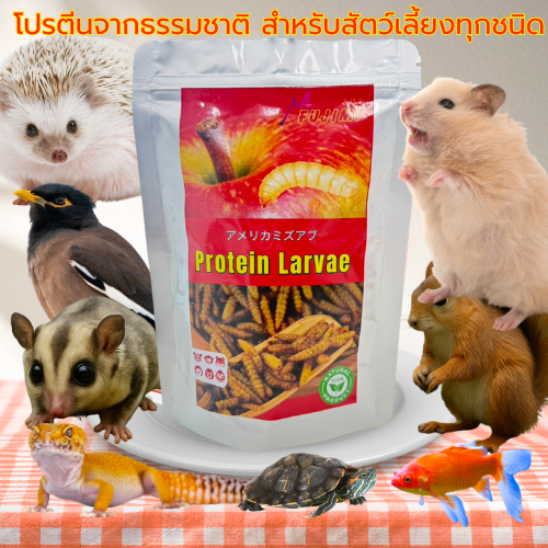 Fujimi โปรตีนแมลงแท้ สำหรับสัตว์เลี้ยงกินแมลง