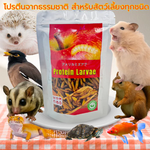 Fujimi โปรตีนแมลงแท้ สำหรับสัตว์เลี้ยงกินแมลง