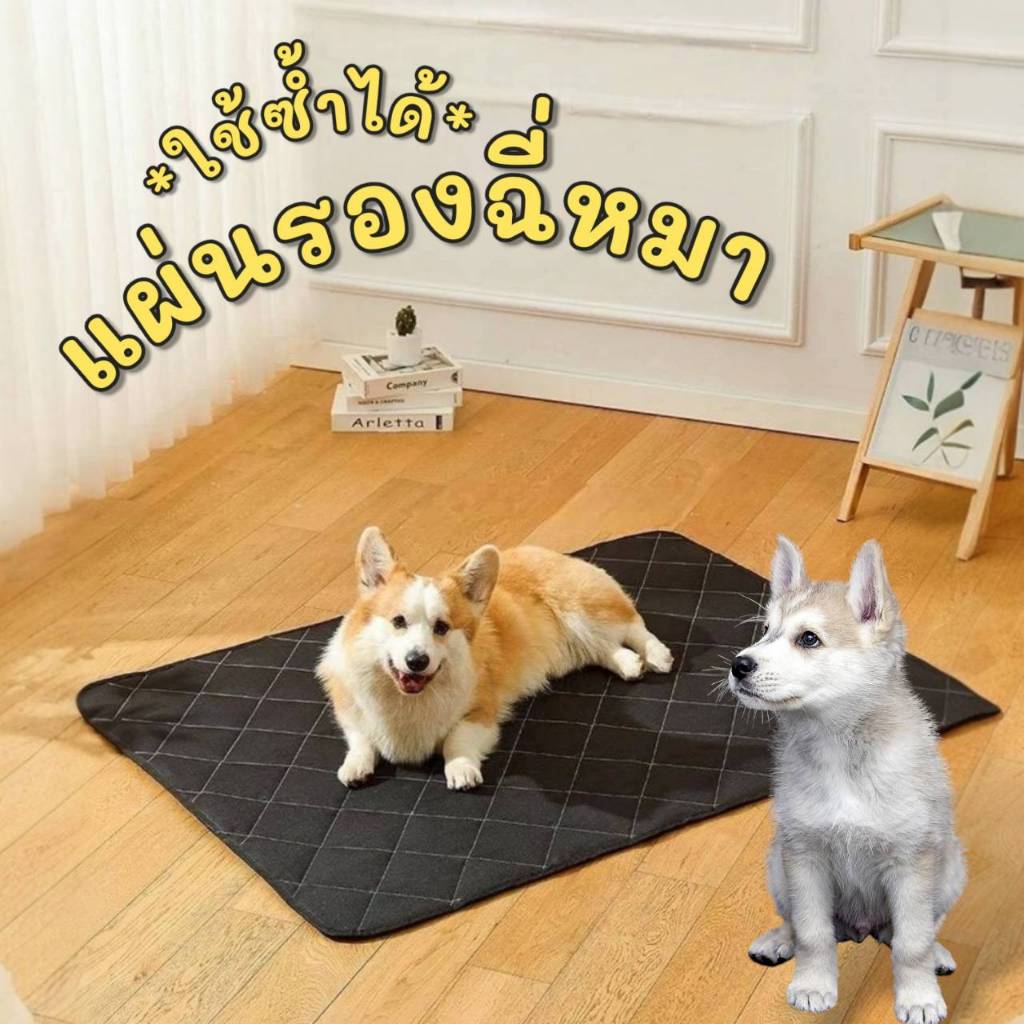 แผ่นรองฉี่สัตว์เลี้ยง สำหรับหมา แมว กระต่าย ใช้ซ้ำได้ มีหลายขนาดให้เลือก หนา4ชั้น