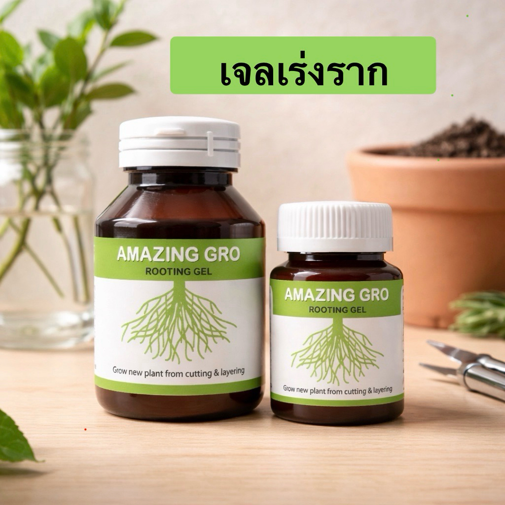 ของแท้ เจลเร่งราก Amazing Gro  Rooting gel น้ำยาเร่งราก กิ่งตอน ปักชำ แคตตัส ไม้ด่าง กัญชา