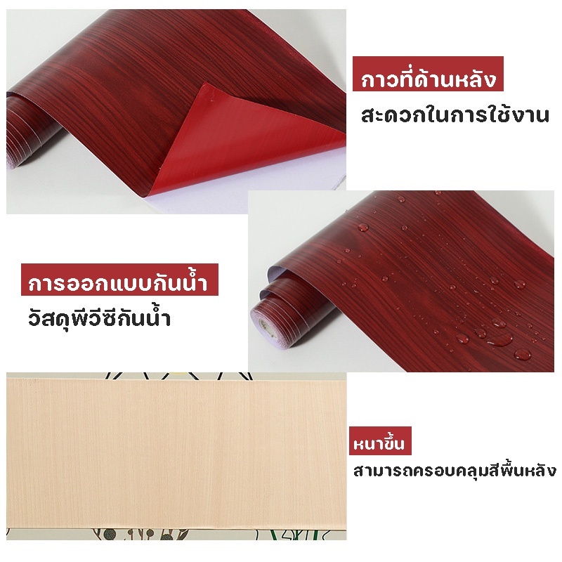 จัดส่งจากกรุงเทพฯ บัวเชิงผนัง รูปที่ 5