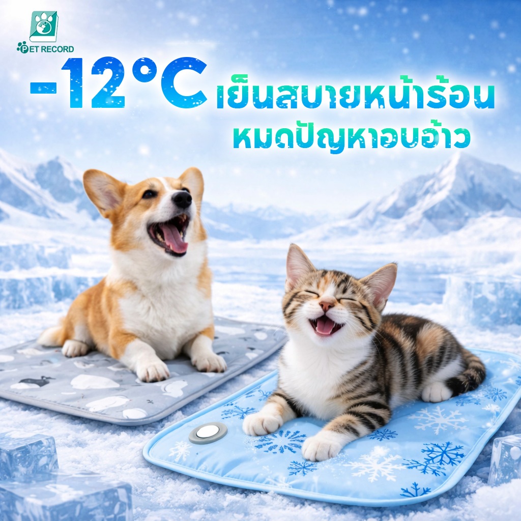 PET-RECORD ที่นอนเย็นสัตว์เลี้ยง แผ่นเจลเย็นแมวสุนัข เย็นทันที นุ่มสบาย ทำความสะอาดง่าย