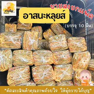 ขายส่ง‼️อาสนะหลุยส์ ยกแพ็ค (บรรจุ 10 ผืน) (เลือกลายไม่ได้)