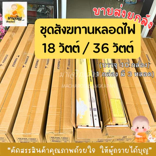 ขายส่งหลอดไฟสังฆทาน ยกลัง (บรรจุ 10 กล่อง)