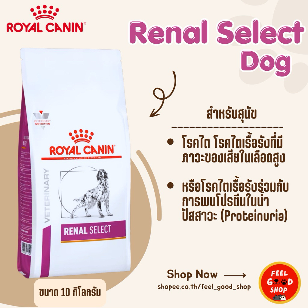 Royal canin Renal Select (10kg) โรคไต เหมาะสำหรับสุนัขโตทานยาก (Exp.25/01/2027 )