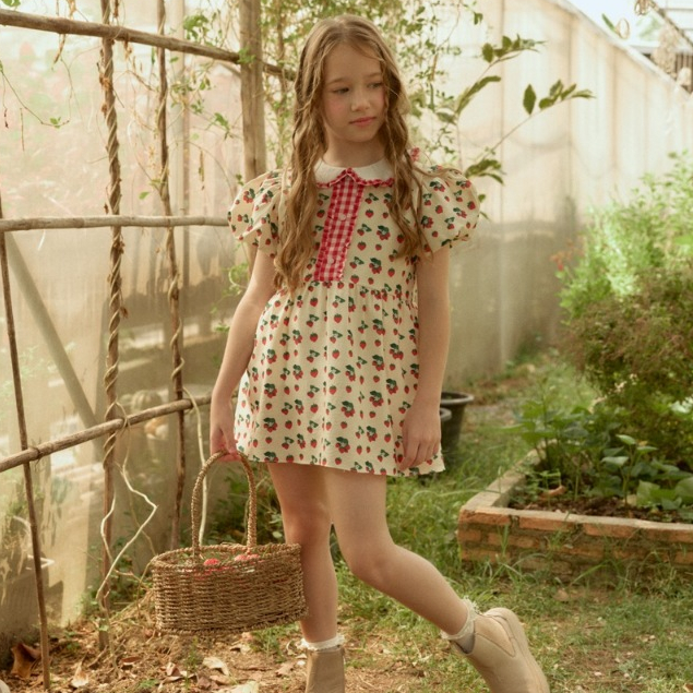 lookbookpetite molly dress สี morning berry
