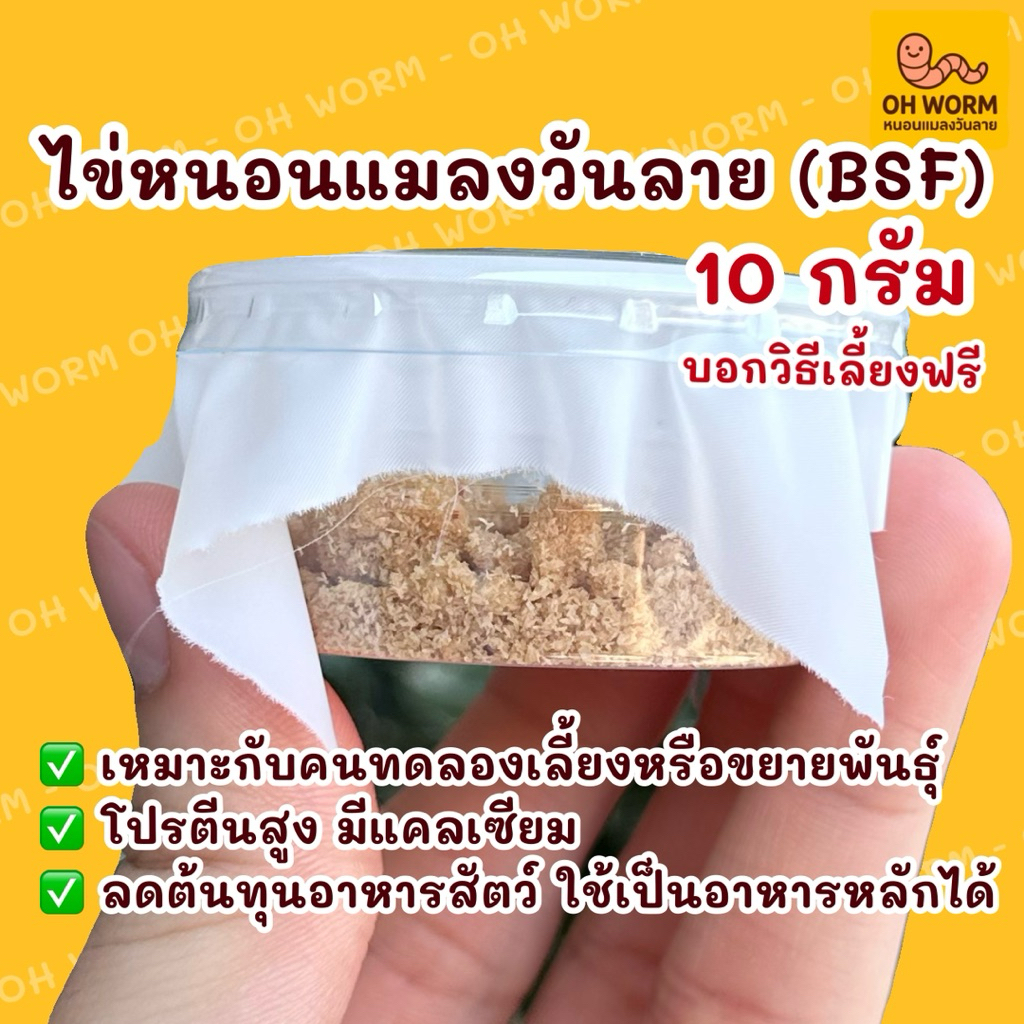 ไข่หนอนแมลงวันลาย 5-10 กรัม