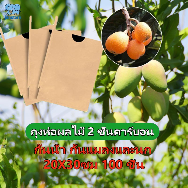ถุงห่อผลไม้ 2 ชั้นคาร์บอน กันน้ำ กันแมลงและนก 100 ใบ แข็งแรง ทนทาน สำหรับมะม่วง ฝรั่ง ผลไม้ทุกชนิด