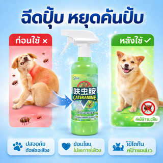 👍1วินาทีฆ่าเห็บหมัด👍กำจัดเห็บและหมัด 500ml กำจัดหมัดหมา กำจั…