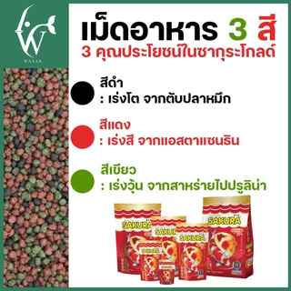 อาหารปลาซากุระ SAKURA GOLD ขนาด 250 กรัม อาหารปลาสวยงาม สูตรเร่งสี เร่งโต ใช้แล้วน้ำไม่ขุ่น