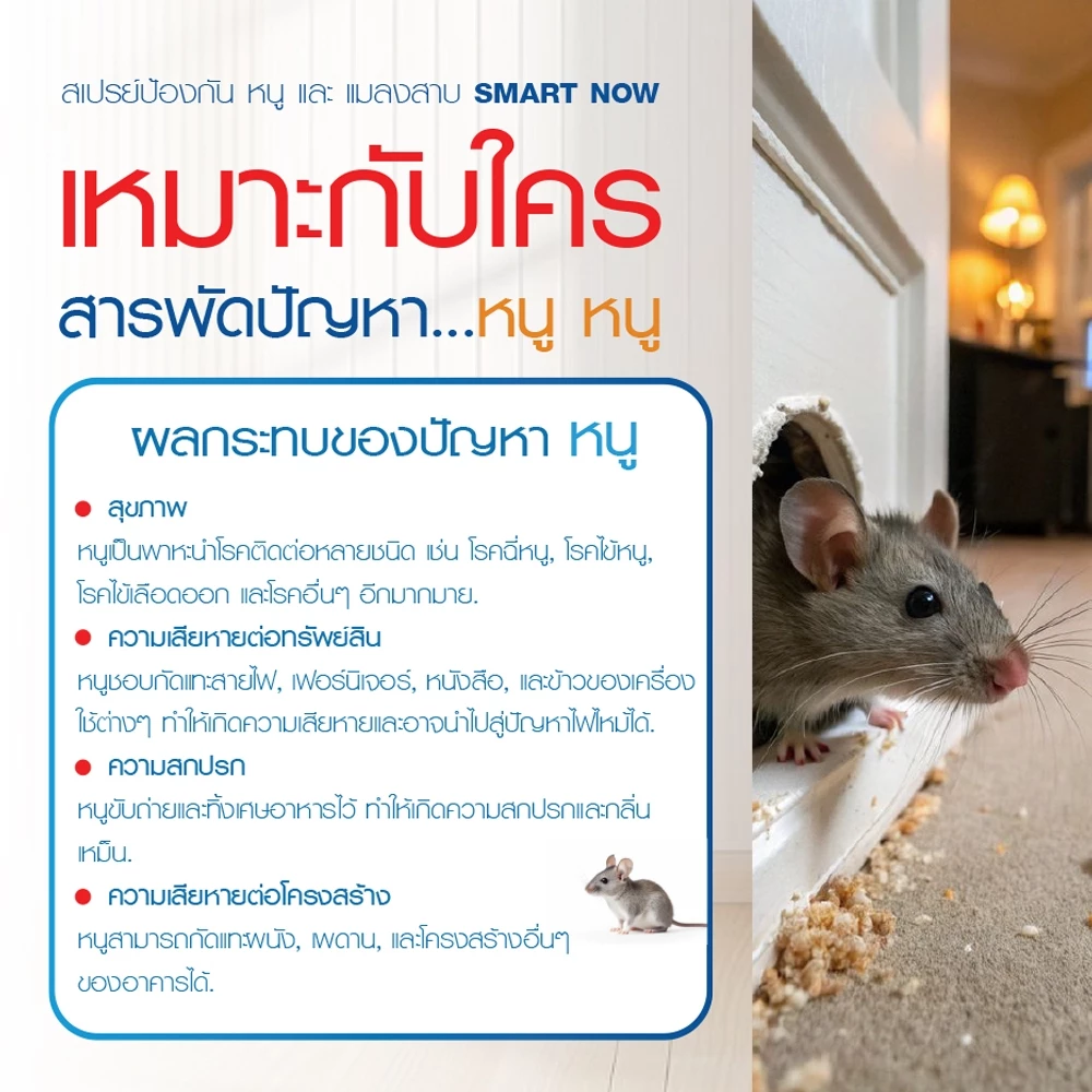 แมลงวัน ป้องกันแมลงวัน ไล่แมลงวัน thumbnail 6