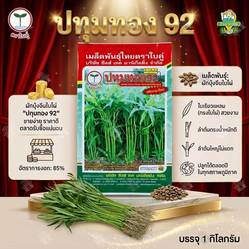 เมล็ดผักบุ้งจีน ปทุมทอง 92 ขนาด 1 กิโลกรัม อัตราการงอก 85% ผักบุ้งใบไผ่ ผักบุ้ง ผักบุ้งจีน