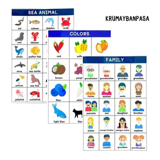 โปสเตอร์ A4 โปสเตอร์ภาษาอังกฤษ เคลือบร้อน เพื่อการเรียนรูัคำศัพท์ หลากหลายเเบบให้เลือก