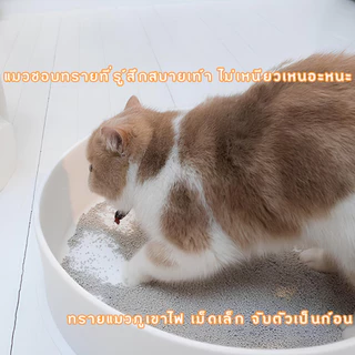 ✨8ถุงแถม1ถุง✨Pack4 ทรายแมวเบนโทไนท์ Cat Litter คุมกลิ่นดี ดูดซับดี ฝุ่นน้อย คุ้มค่า คุ้มราคา