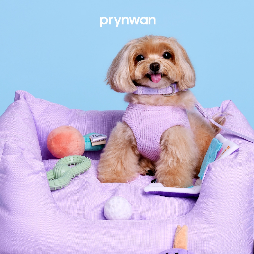 PRYNWAN Pets - Pet Bed Viola Collection เตียงนอนสัตว์เลี้ยง สีม่วง