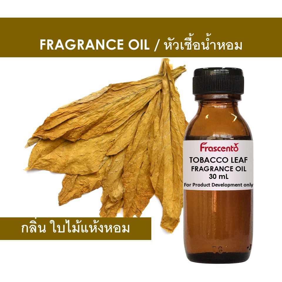 TOBACCO LEAF FRAGRANCE OIL - หัวน้ำหอม กลิ่น ใบไม้แห้งหอม คุณภาพสูง ไม่มีส่วนผสมแอลกอฮอล์