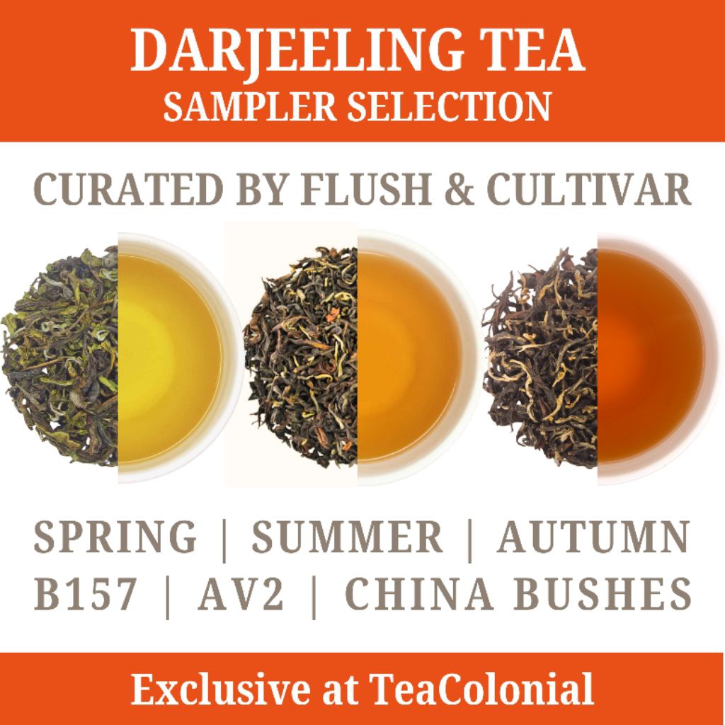 ชาดาร์จีลิง คัดพิเศษตามสายพันธุ์และฤดูเก็บเกี่ยว เกรด FTGFOP1 - Darjeeling Tea Sampler Curated by Flush and Cultivar