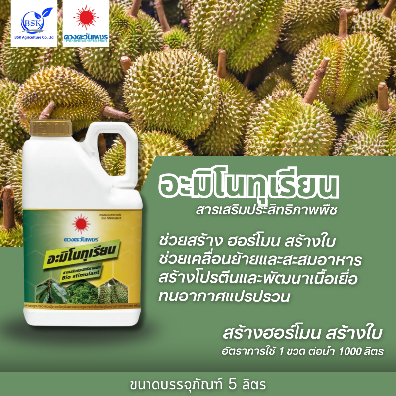 ปุ๋ยน้ำ อะมิโนทุเรียน แกลลอน ขนาด5L (ดวงตะวันเพชร)