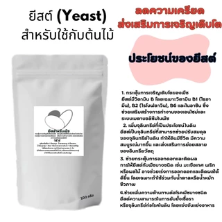 ยีสต์สำหรับต้นไม้ช่วยส่งเสริมการเจริญและป้องกันโรคพืชยีสต์สำหรับต้นไม้PGPYป้องกันโรคส่งเสริมการเจริญเติบโต