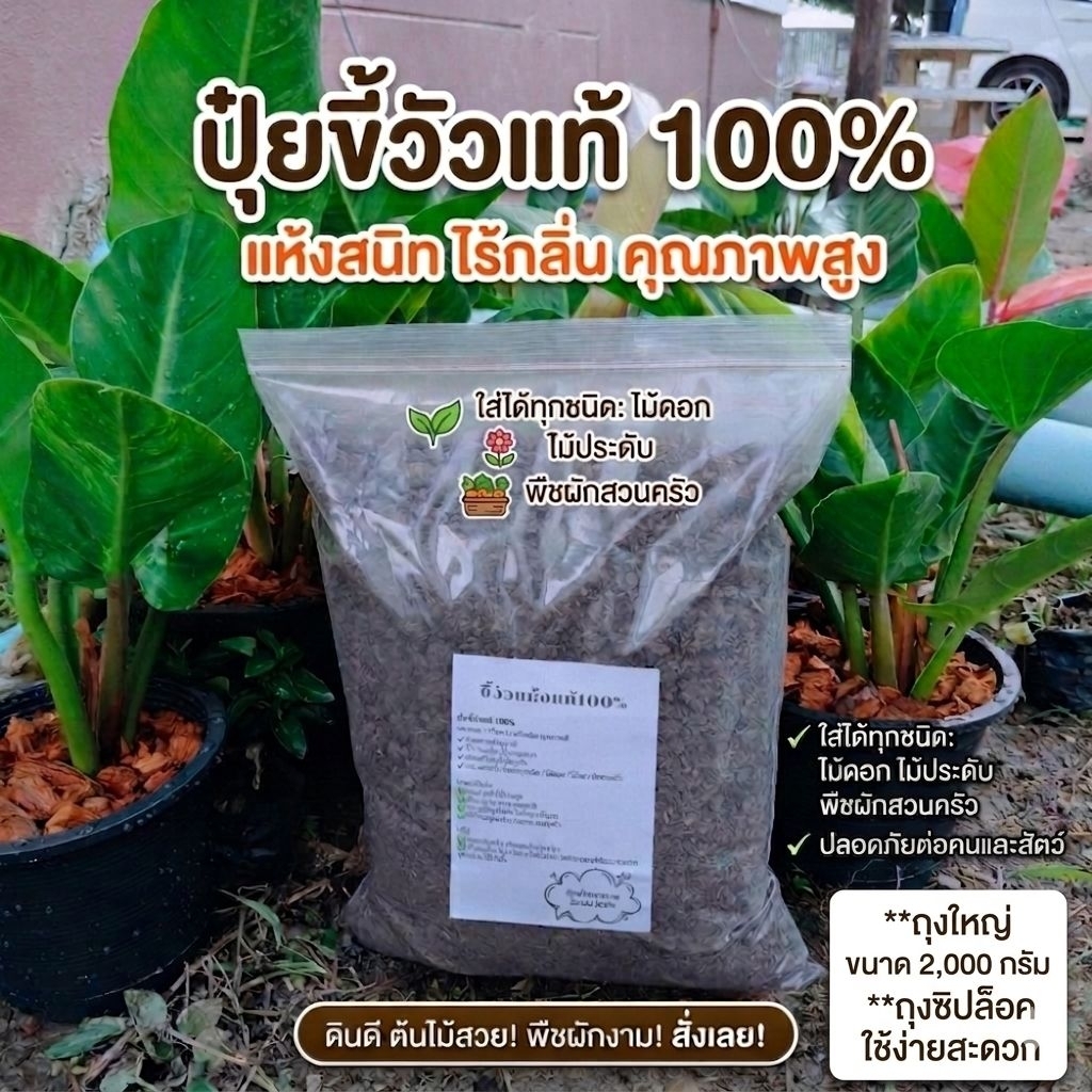 ​🐄 ปุ๋ยขี้วัวแห้งแท้ 100% – เคล็ดลับสวนสวย ดินดี พืชแกร่ง! 🌿​"ดินร่วนซุยพืชผักเขียวขจี ด้วยปุ๋ยคอกคุณภาพพรีเมียม"