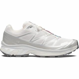 SALOMON XT-6 Rainy Day Paloma รองเท้าผ้าใบ L47988000 Officia…