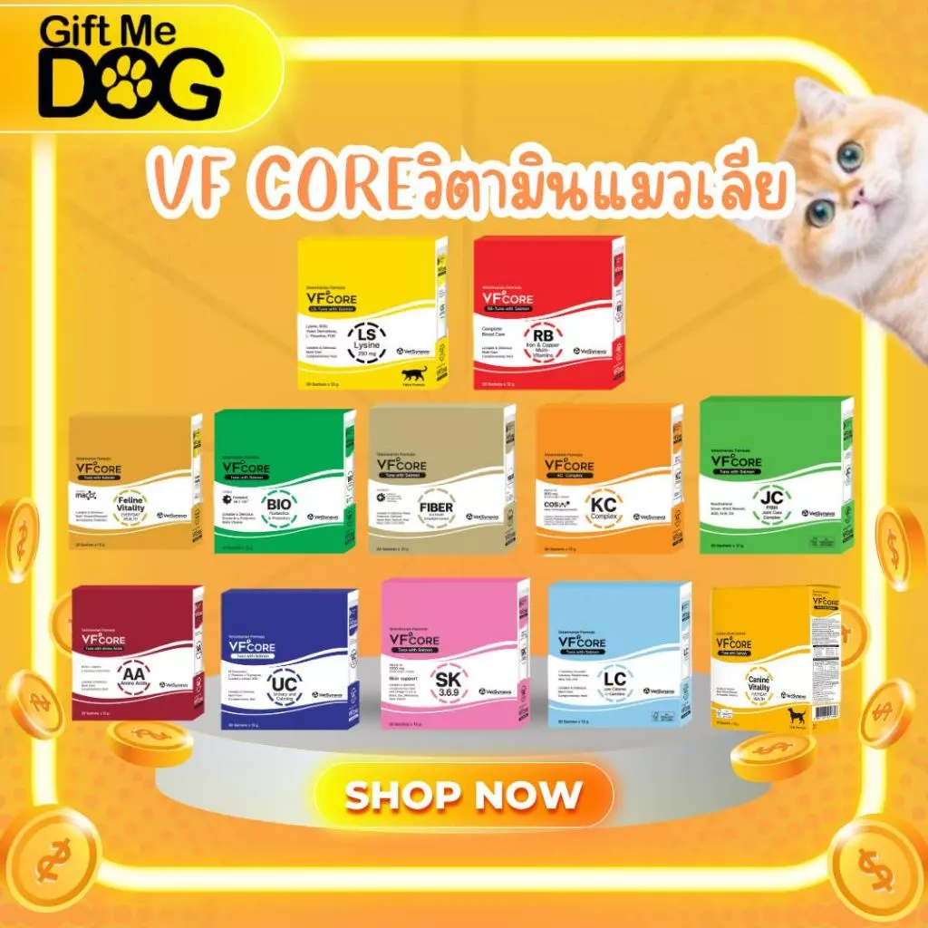 VFcore วีเอฟคอร์ ขนมแมวเลีย