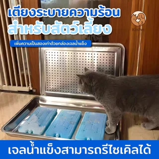 ที่นอนเย็นสำหรับแมว (แถมขวดน้ำแข็ง 2 ขวด) ที่นอนเย็นสำหรับสัตว์เลี้ยง ้ความเย็นด้วยวิธีทางกายภาพ สะอาด ผ ผลิตจากวัสดุรี