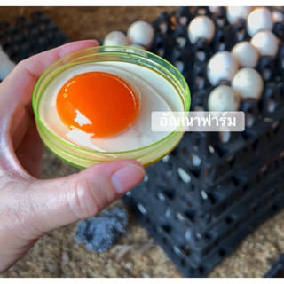 ไข่เป็ด สด ใหม่ เก็บส่งวันต่อวันจากฟาร์มของเราเอง 1 แผง มี30…