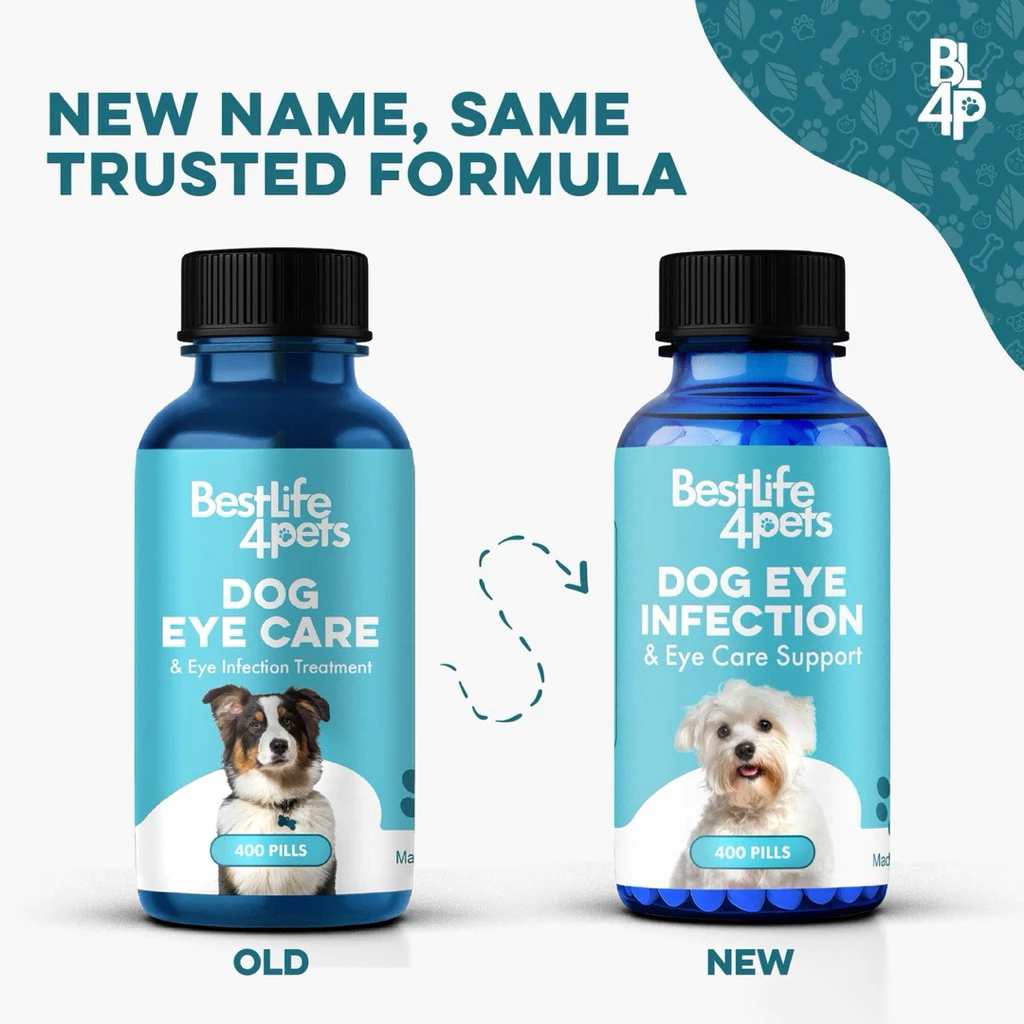 วิตามิน Eye Care & Vision Support อาหารเสริมหมา อาหารเสริมแมว บำรุงสายตา บำรุงดวงตา thumbnail 3
