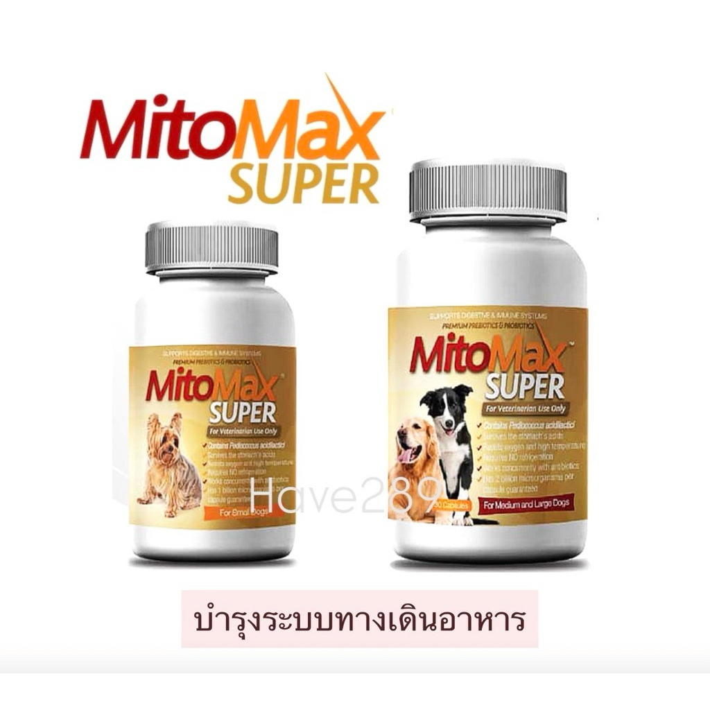 Mitomax Super ซินไบโอติก โปรไบโอติก ปรับสมดุลทางเดินอาหารสำหรับแมว-สุนัข