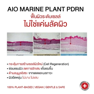 (ส่งทันที) | เจลแดง ดิเอลฟ์ [set 5 หลอด] | The Elf Nano White Gel