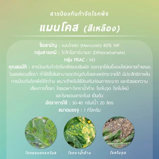 แมนโคส สีเหลือง (แมนโคเซบ 80% WP) 1 กิโลกรัม