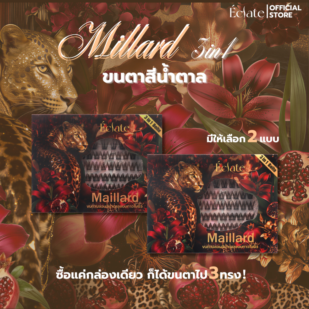 ใหม่ รวมตารุ่นฮิต 3in1 สี black chocolate จาก Eclate！สีคล้ายขนตาจริง ติดแล้วตาโต เนียน  ละมุน ไม่โป๊ะ 1กล่องมี3ทรง