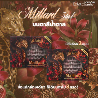 ใหม่ รวมตารุ่นฮิต 3in1 สี black chocolate จาก Eclate！สีคล้ายขนตาจริง ติดแล้วตาโต เนียน ละมุน ไม่โป๊ะ 1กล่องมี3ทรง