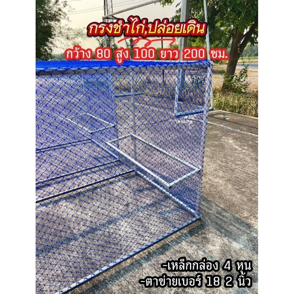 (สินค้าเหล็กกล่อง)กรงชำไก่ชน,ปล่อยเดินได้ 80 * 100 * 200 cm thumbnail 5