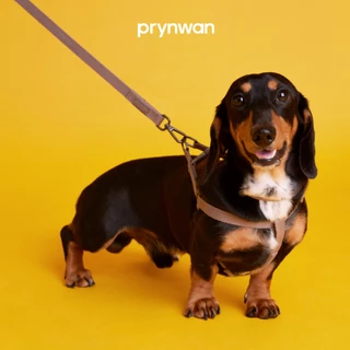 PRYNWAN Pets - Dog Leash Tone On Tone สายจูง สัตว์เลี้ยง