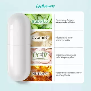 [ส่งด่วน] เวลวีเนส เวล เฟล็กซ์ 7 เม็ด Wellflex บำรุงกระดูก ไขข้อ เส้นเอ็น อาหารเสริมเพื่อสุขภาพ ข้อต่อ กระดูกอ่อน