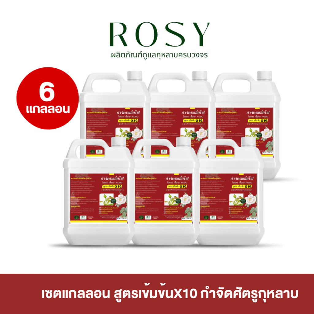 Rosy [รีฟิลฉลากแดง 1000 ML 6 แกลอน] กำจัดเพลี้ยไฟดื้อยๅ สำหรับกุหลาบ ไม่กลับมาระบาดซ้ำ ไม่ทำให้ใบไหม้ ไม่ดื้อยๅ